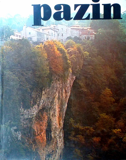 [D-01-1B] PAZIN
