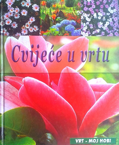 [D-10-1B] CVIJEĆE U VRTU