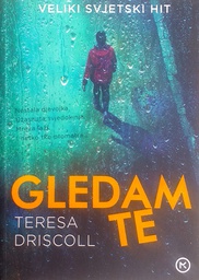 [D-18-3A] GLEDAM TE