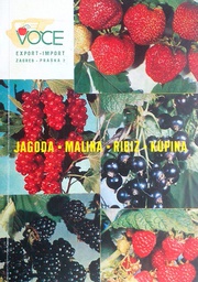 [A-02-2A] JAGODA, MALINA, RIBIZ, KUPINA