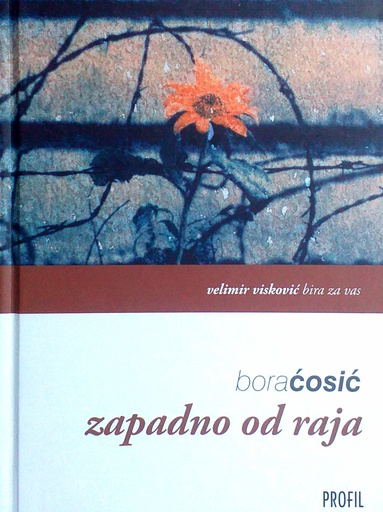 [D-21-2A] ZAPADNO OD RAJA