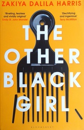 [C-03-6B] THE OTHER BLACK GIRL