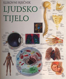 [A-05-1B] SLIKOVNI RJEČNIK LJUDSKO TIJELO