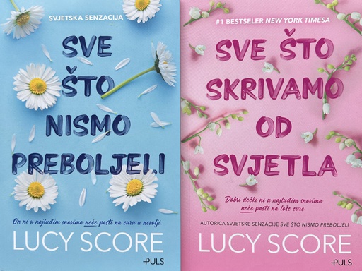 [C-06-6B] SVE ŠTO NISMO PREBOLJELI - SVE ŠTO SKRIVAMO OD SVJETLA