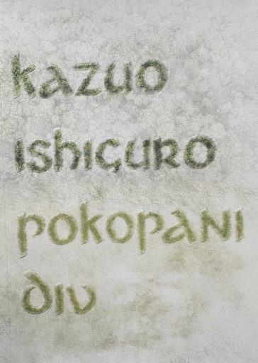 [B-02-6A] POKOPANI DIV