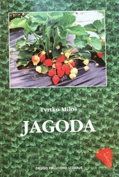 [E-03-5A] JAGODA