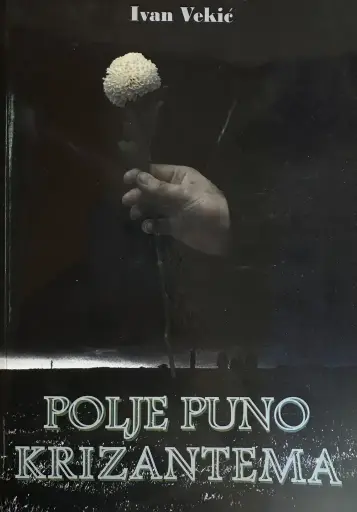 [E-03-6A] POLJE PUNO KRIZANTEMA