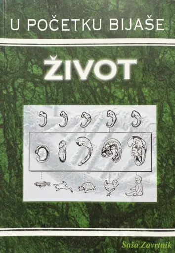 [E-01-4B] U POČETKU BIJAŠE ŽIVOT