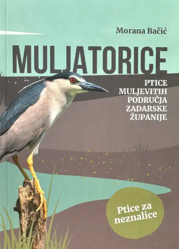 [E-04-3B] MULJATORICE