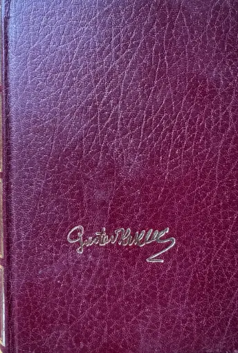 [GCD-2A] PJESNIK U VIHORIMA
