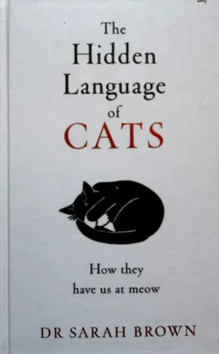 [E-04-2B] THE HIDDEN LANGUAGE OF CATS