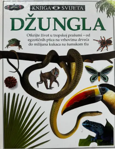[D-14-5A] DŽUNGLA