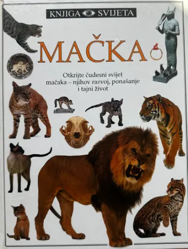 [D-14-5A] MAČKA